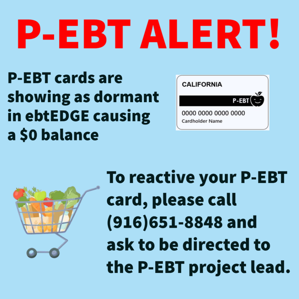what does the p ebt card cover