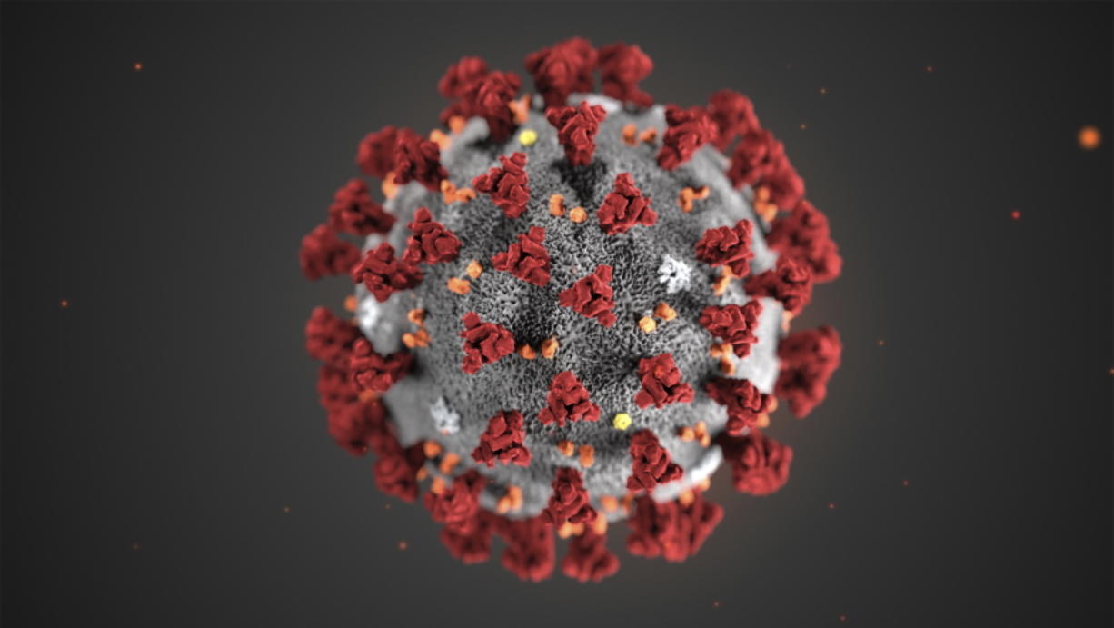 Picture of COVID-19 Virus